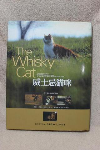 附加檔案: 威士忌貓咪a.jpg