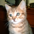 [Avatar]