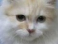 [Avatar]