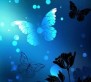 [Avatar]