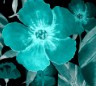 [Avatar]