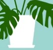 [Avatar]