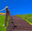 [Avatar]