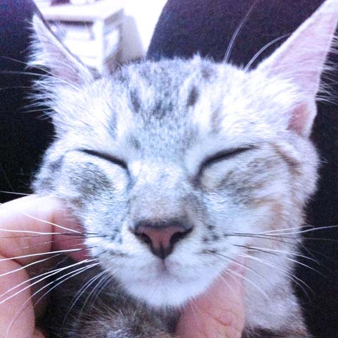 [Avatar]