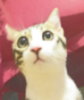 [Avatar]