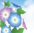 [Avatar]