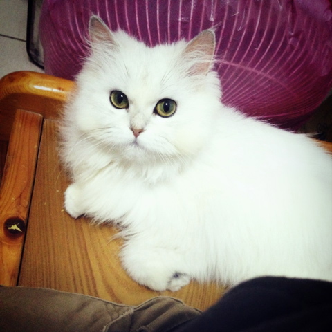 [Avatar]