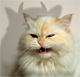 [Avatar]