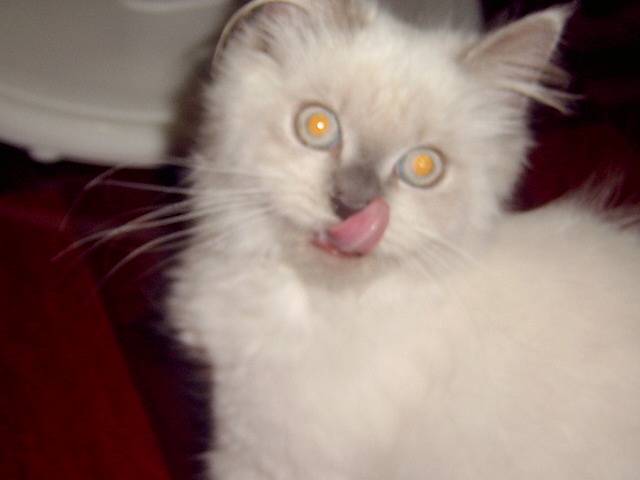 [Avatar]