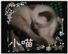 [Avatar]