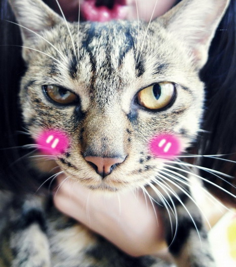 [Avatar]
