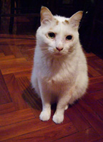 [Avatar]