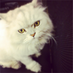 [Avatar]