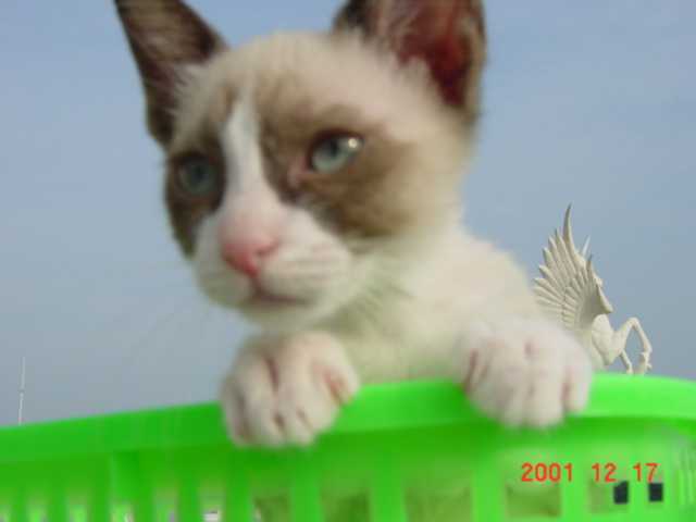 [Avatar]