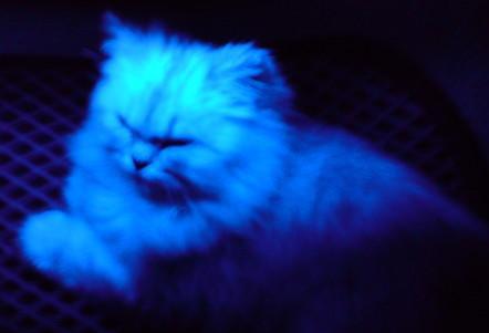 [Avatar]