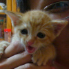 [Avatar]