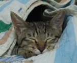 [Avatar]