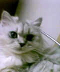 [Avatar]