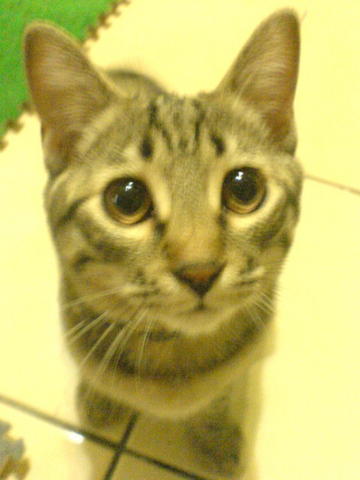 [Avatar]