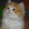 [Avatar]