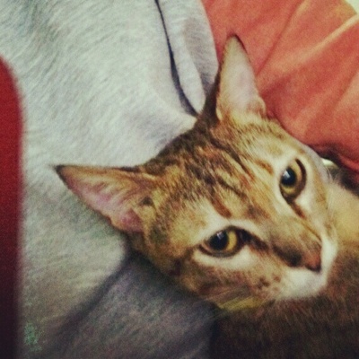 [Avatar]