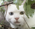 [Avatar]
