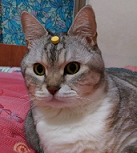 [Avatar]
