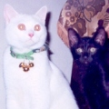 [Avatar]