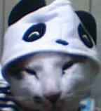 [Avatar]