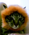 [Avatar]
