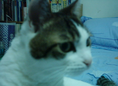 [Avatar]