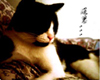 [Avatar]