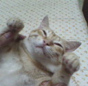 [Avatar]