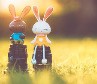 [Avatar]