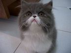[Avatar]