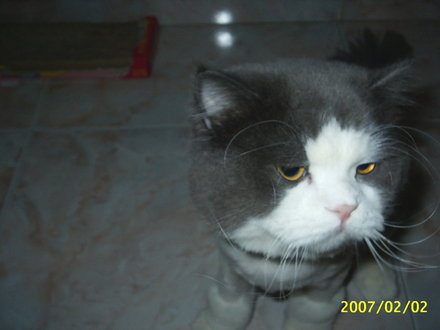 [Avatar]