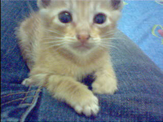 [Avatar]