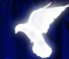 [Avatar]