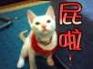 [Avatar]