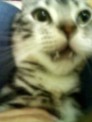 [Avatar]