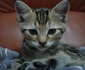 [Avatar]