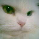 [Avatar]