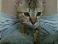 [Avatar]