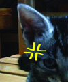 [Avatar]