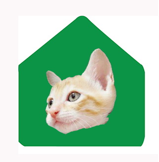 [Avatar]