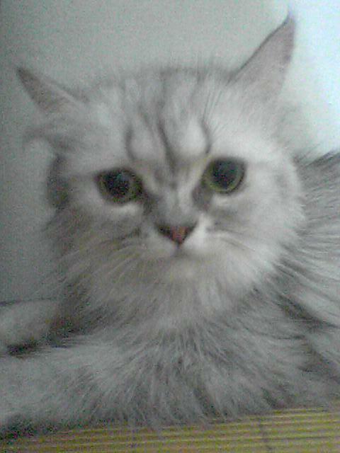 [Avatar]