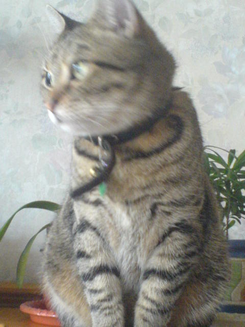 [Avatar]