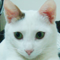 [Avatar]