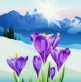 [Avatar]