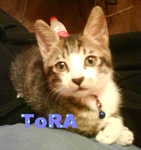 [Avatar]